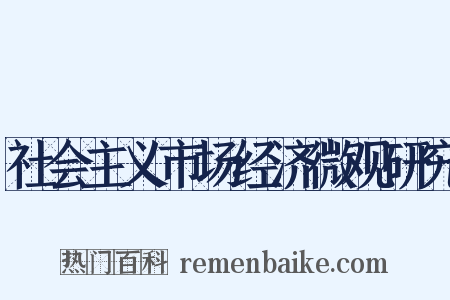 社会主义市场经济微观研究是什么意思的图片